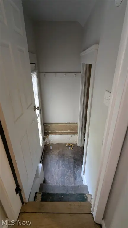 Picture 25