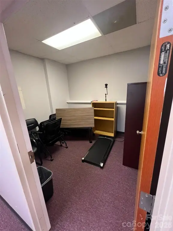 Picture 5