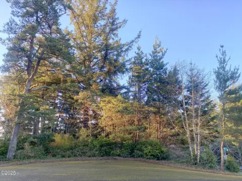 Residential Land in Waldport, Oregon