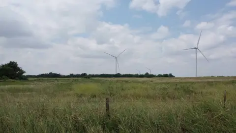 20-Acre Farm Tract For Sale