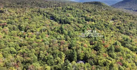Wooded Lot Near Stratton Mountain