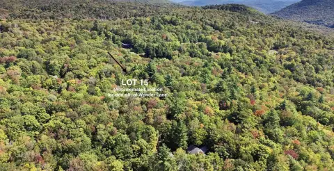 Wooded Lot Near Stratton Mountain
