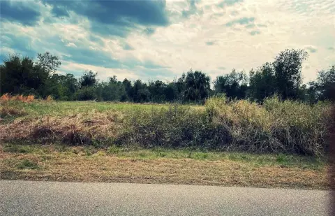 Residential Land in Punta Gorda