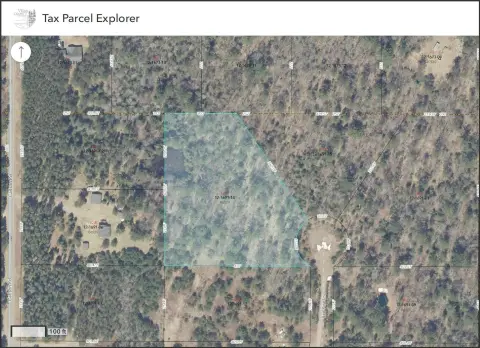 Land O'Lakes Wooded Parcel