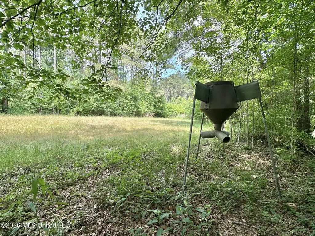 Picture 5