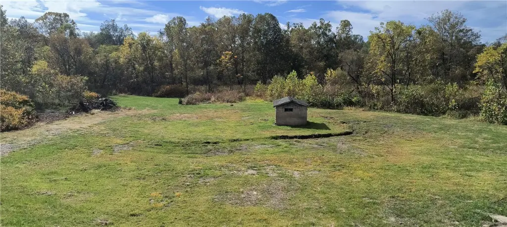 Picture 5