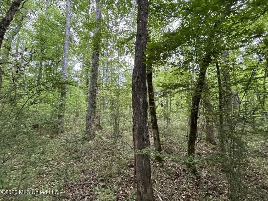 Picture 15