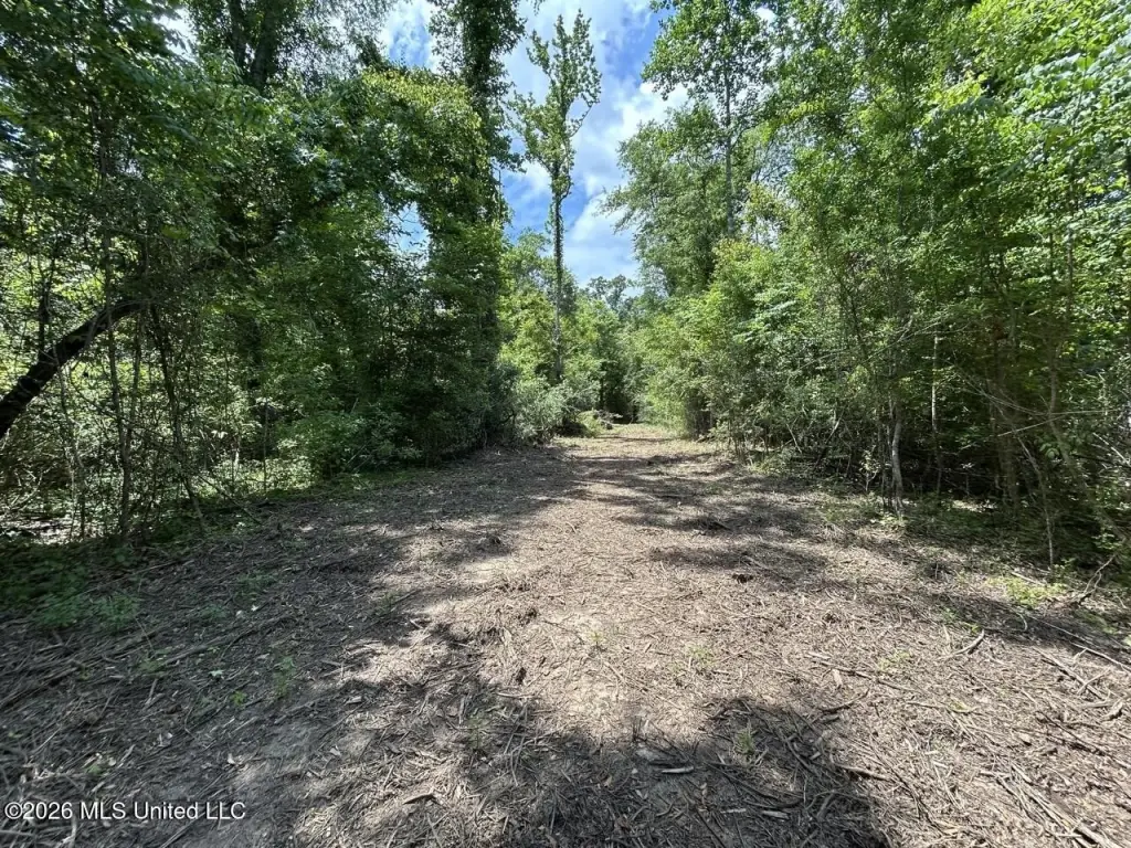 Picture 40