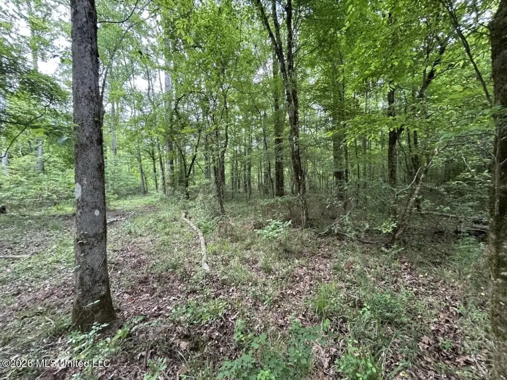 Picture 17