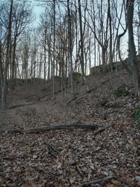 Picture 10