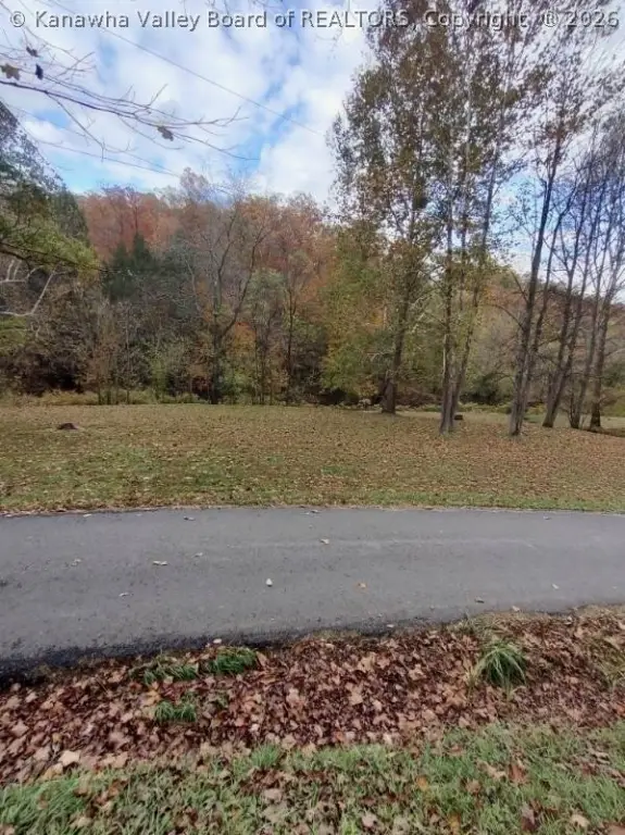 Picture 3