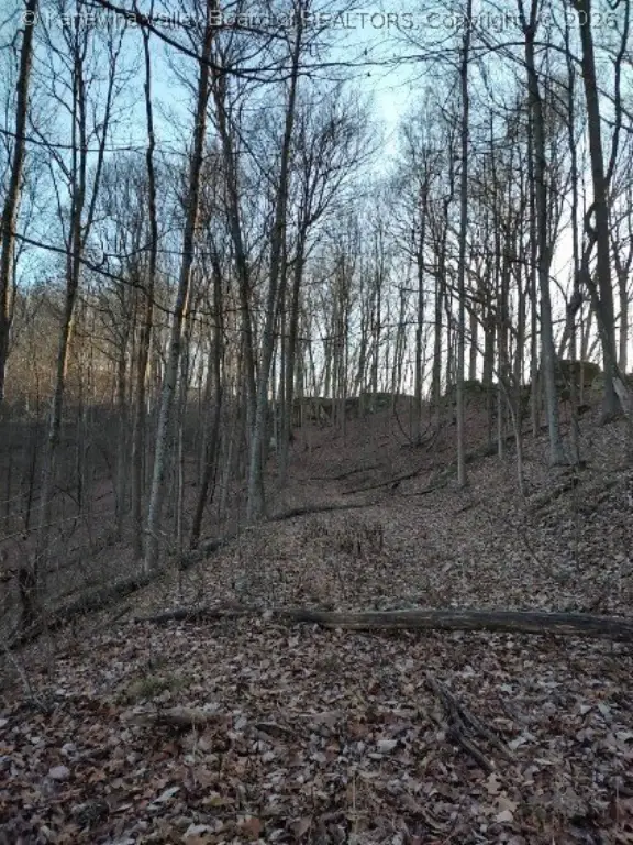 Picture 9
