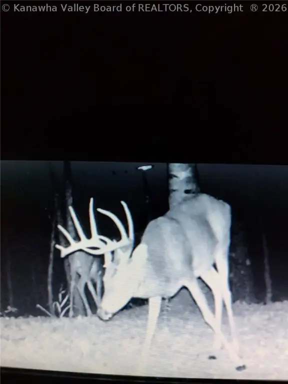 Picture 20