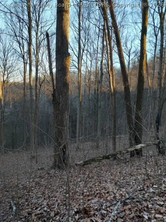 Picture 8