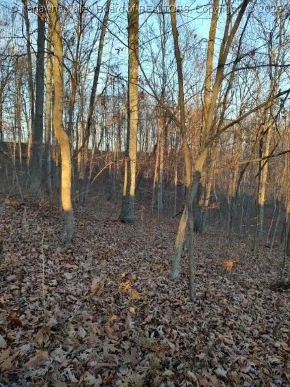 Picture 11