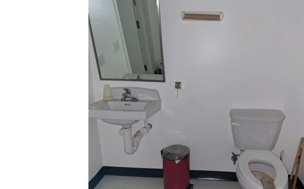 Picture 15