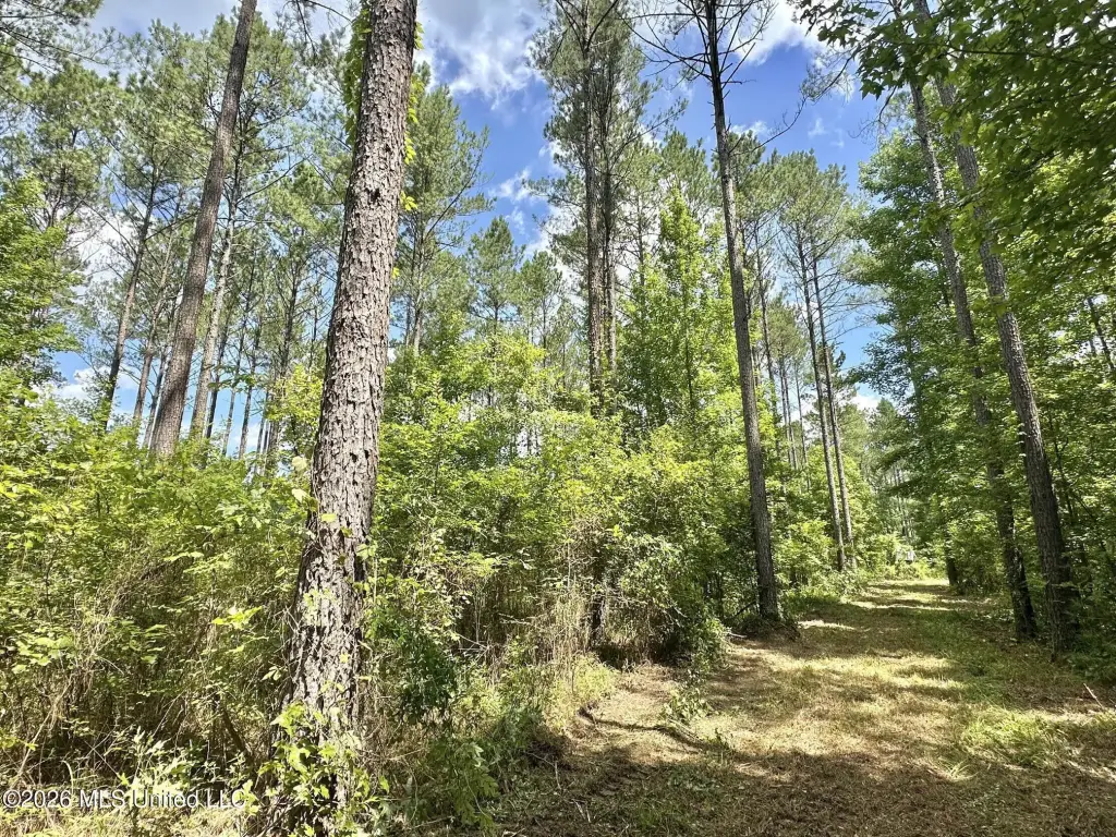 Picture 2