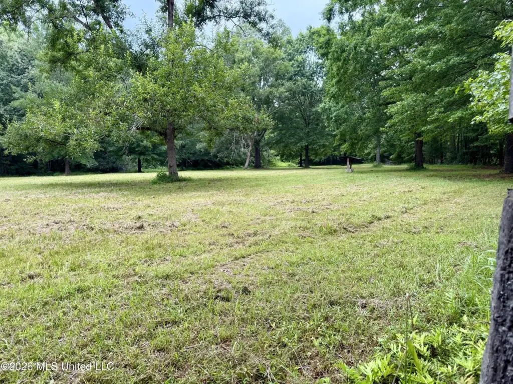 Picture 20
