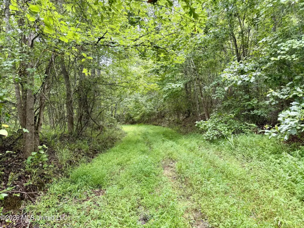 Picture 46