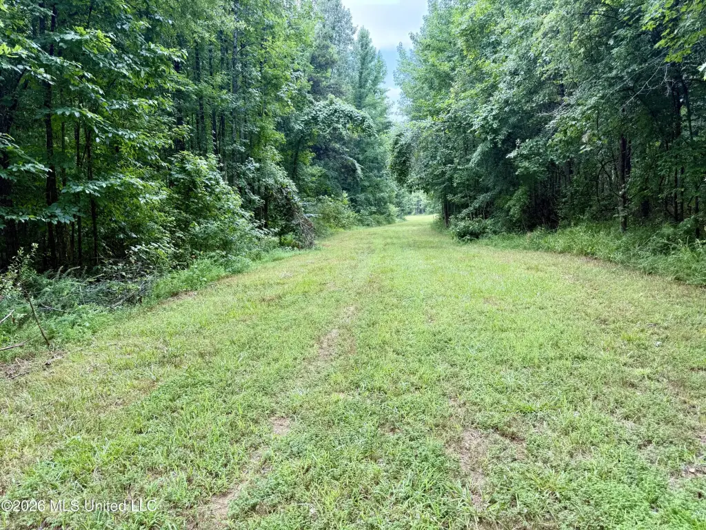 Picture 36