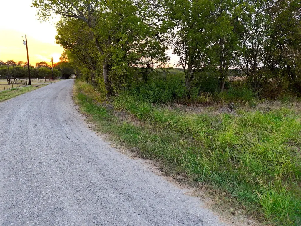 Picture 21