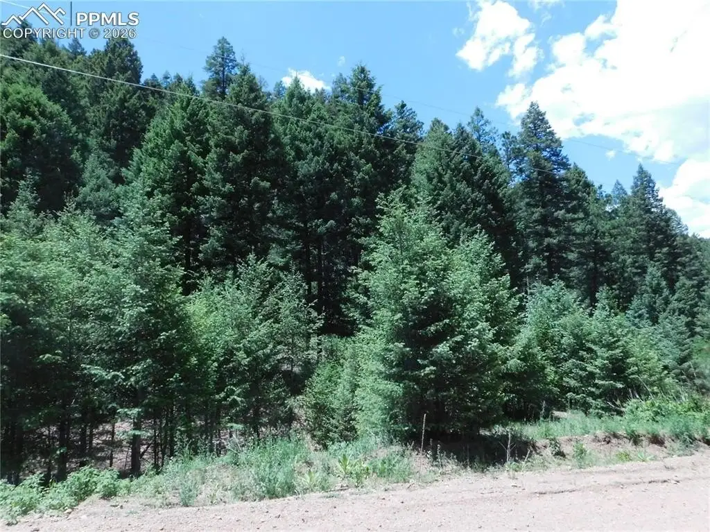 Picture 13
