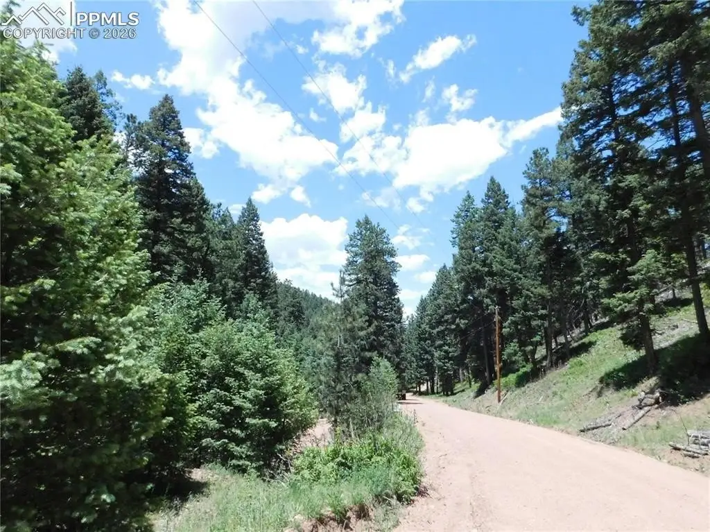 Picture 21
