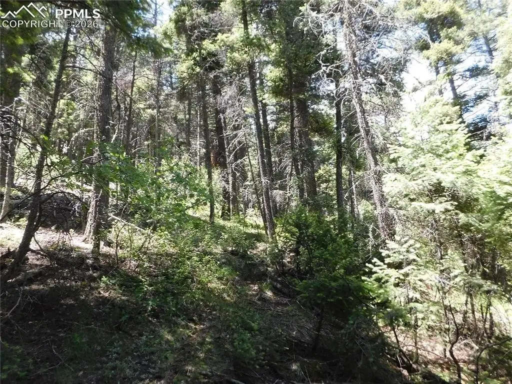 Picture 16