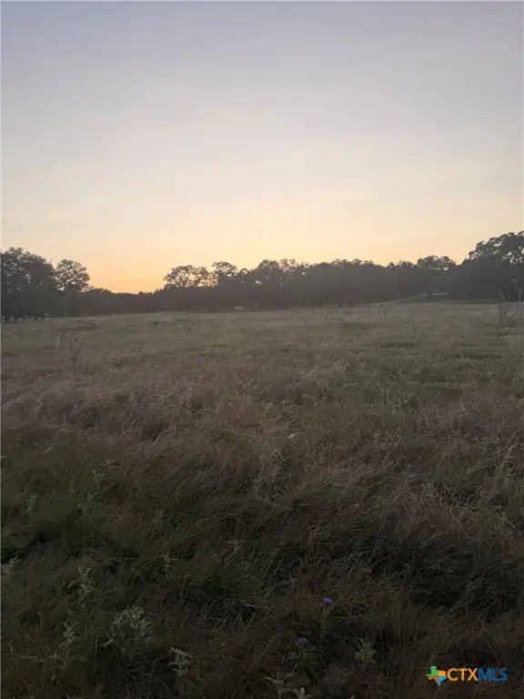 Picture 21