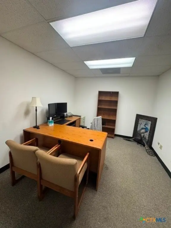 Picture 12