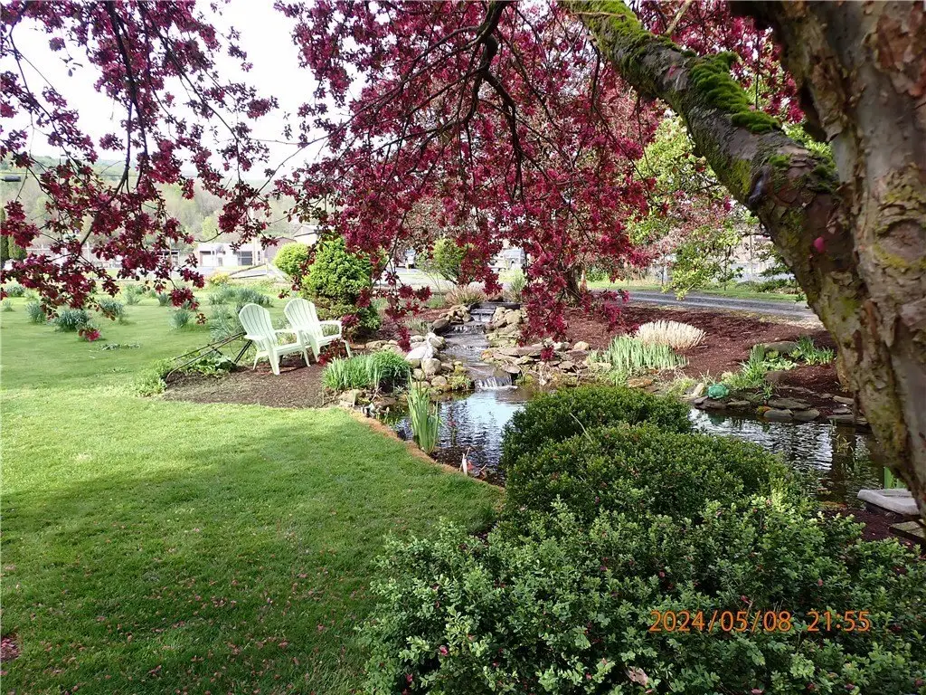 Picture 8