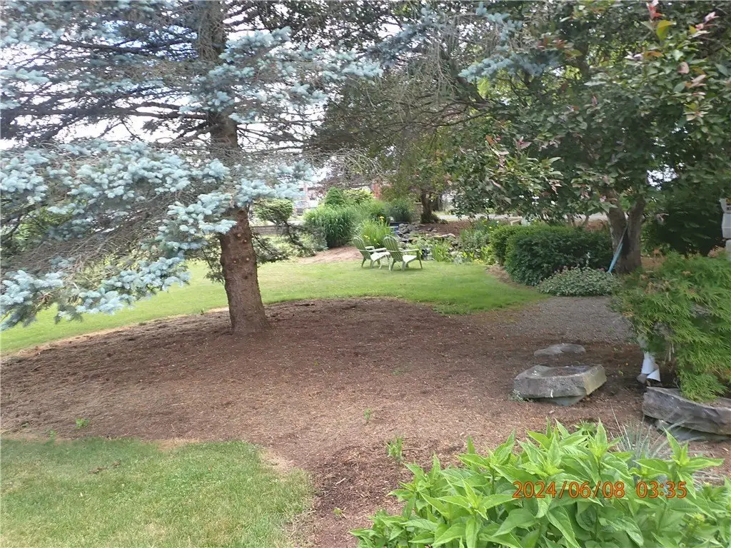 Picture 11