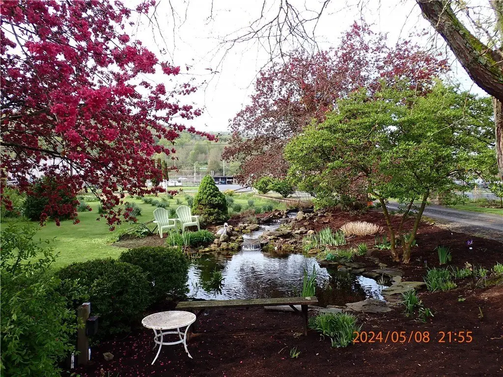 Picture 7