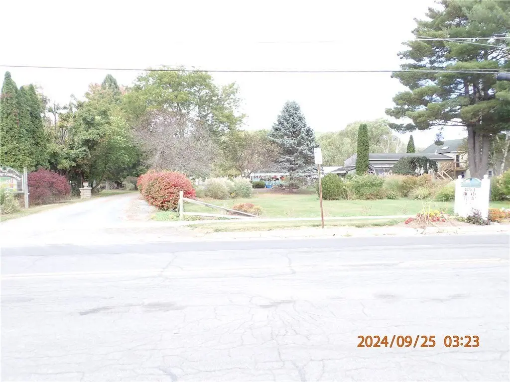 Picture 15