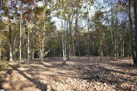 Unrestricted Land Near North Greenville