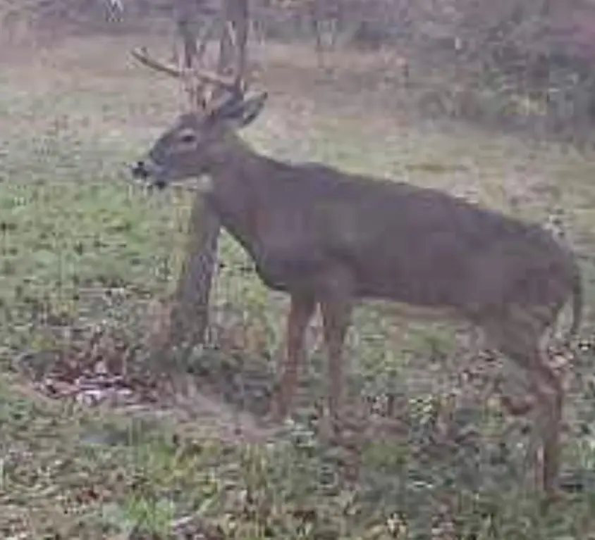 Picture 40