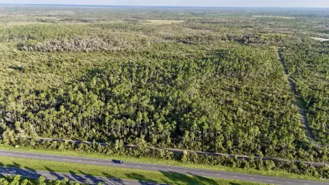 264 Acres Investment Opportunity