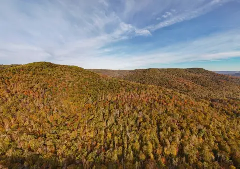 Secluded Forested Land Near Jamestown
