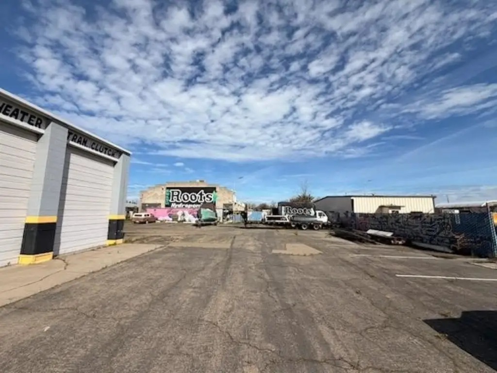Picture 8
