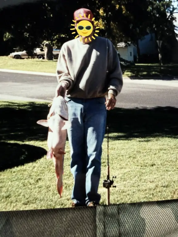 Picture 43