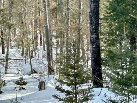 Secluded 5-Acre Northwoods Retreat