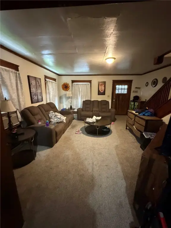 Picture 5