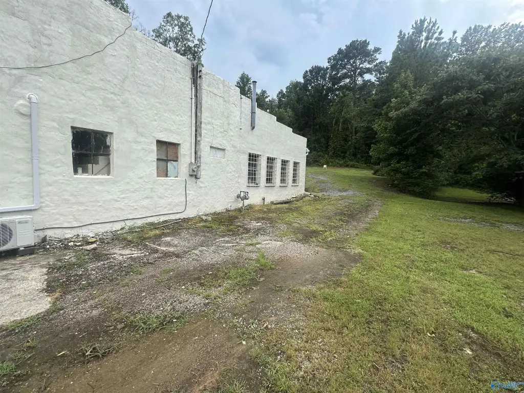 Picture 19