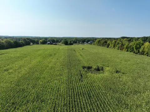 Hastings Land: Farm, Hunt, Invest