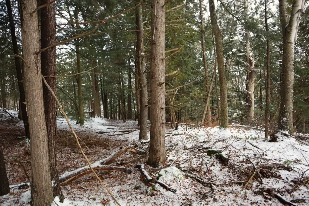 Picture 4