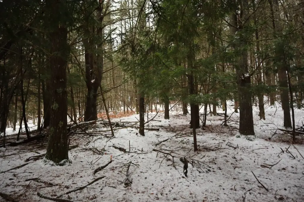 Picture 6