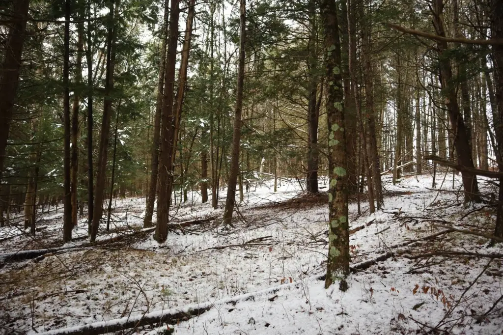 Picture 39