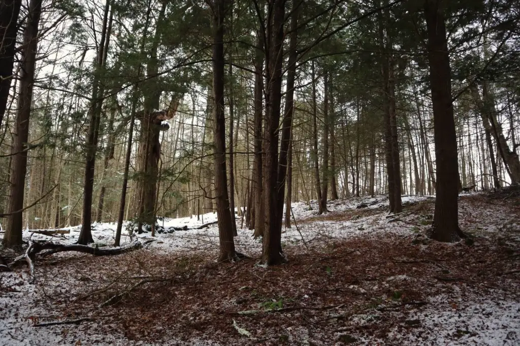 Picture 14