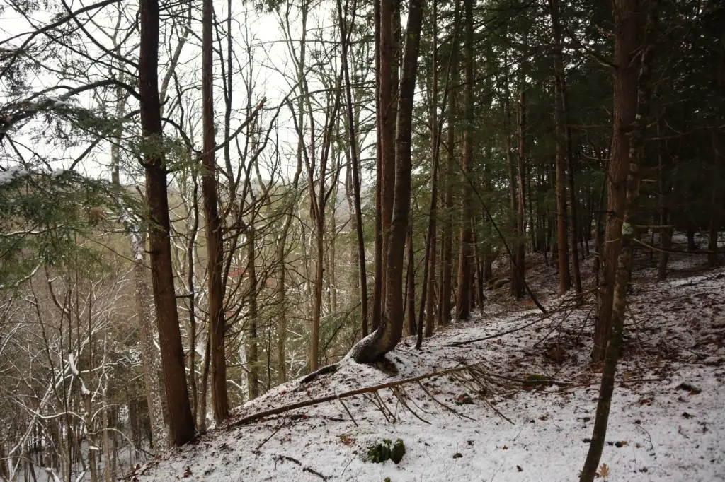 Picture 9