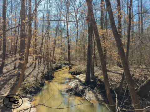 76-Acre Hunting and Timber Tract